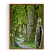 Quadro Decorativo Bosque Comercial Ramos