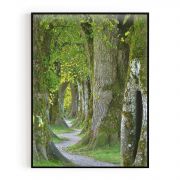 Quadro Decorativo Bosque Comercial Ramos