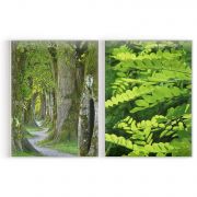 Quadro Decorativo Bosque e Folhas- 2 Telas Comercial Ramos