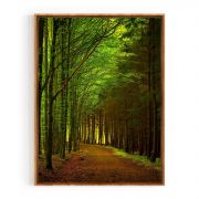 Quadro Decorativo Bosque II Comercial Ramos