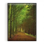 Quadro Decorativo Bosque II Comercial Ramos