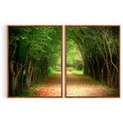 Quadro Decorativo Caminho Floresta - 2 Telas Comercial Ramos