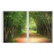 Quadro Decorativo Caminho Floresta - 2 Telas Comercial Ramos