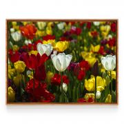 Quadro Decorativo Campo de Tulipas Comercial Ramos