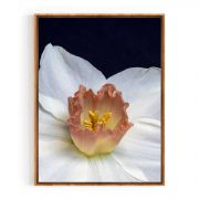 Quadro Decorativo Daffodil Comercial Ramos