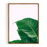 Quadro Decorativo Folhas Verdes Comercial Ramos