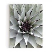 Quadro Decorativo Flor de Cactus Comercial Ramos