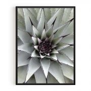 Quadro Decorativo Flor de Cactus Comercial Ramos