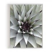 Quadro Decorativo Flor de Cactus Comercial Ramos