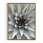 Quadro Decorativo Flor de Cactus Comercial Ramos