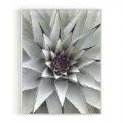 Quadro Decorativo Flor de Cactus Comercial Ramos