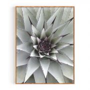 Quadro Decorativo Flor de Cactus Comercial Ramos