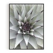 Quadro Decorativo Flor de Cactus Comercial Ramos