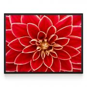 Quadro Decorativo Flor Dália Comercial Ramos