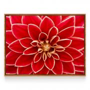 Quadro Decorativo Flor Dália Comercial Ramos