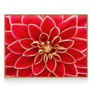 Quadro Decorativo Flor Dália Comercial Ramos