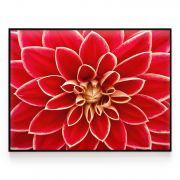 Quadro Decorativo Flor Dália Comercial Ramos