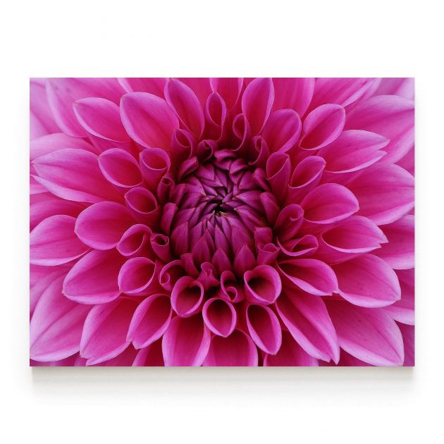 Quadro Decorativo Flor Dália ll Comercial Ramos