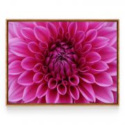 Quadro Decorativo Flor Dália ll Comercial Ramos