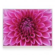 Quadro Decorativo Flor Dália ll Comercial Ramos