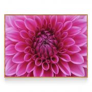 Quadro Decorativo Flor Dália ll Comercial Ramos