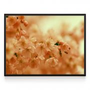 Quadro Decorativo Flor de Cerejeira Comercial Ramos