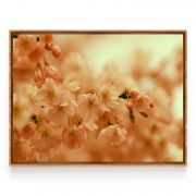 Quadro Decorativo Flor de Cerejeira Comercial Ramos