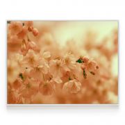 Quadro Decorativo Flor de Cerejeira Comercial Ramos