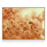 Quadro Decorativo Flor de Cerejeira Comercial Ramos