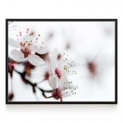 Quadro Decorativo Flor de Cerejeira ll Comercial Ramos