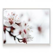 Quadro Decorativo Flor de Cerejeira ll Comercial Ramos