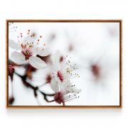 Quadro Decorativo Flor de Cerejeira ll Comercial Ramos