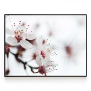 Quadro Decorativo Flor de Cerejeira ll Comercial Ramos