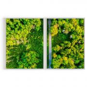 Quadro Decorativo Floresta - 2 Telas Comercial Ramos