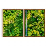 Quadro Decorativo Floresta - 2 Telas Comercial Ramos