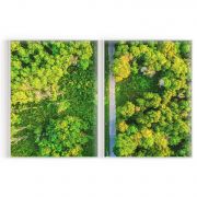 Quadro Decorativo Floresta - 2 Telas Comercial Ramos