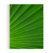 Quadro Decorativo Folhagem Verde Comercial Ramos