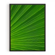 Quadro Decorativo Folhagem Verde Comercial Ramos