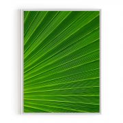 Quadro Decorativo Folhagem Verde Comercial Ramos