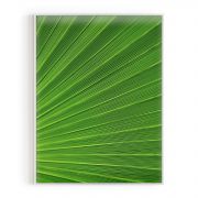 Quadro Decorativo Folhagem Verde Comercial Ramos