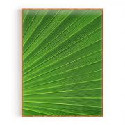 Quadro Decorativo Folhagem Verde Comercial Ramos