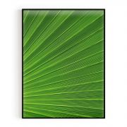 Quadro Decorativo Folhagem Verde Comercial Ramos