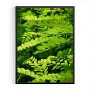 Quadro Decorativo Folhas Verdes Comercial Ramos