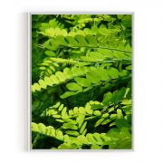 Quadro Decorativo Folhas Verdes Comercial Ramos