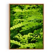 Quadro Decorativo Folhas Verdes Comercial Ramos