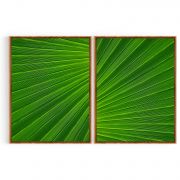 Quadro Decorativo Folhas Verdes - 2 Telas Comercial Ramos