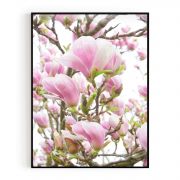 Quadro Decorativo Magnolia Comercial Ramos