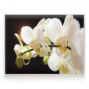 Quadro Decorativo Orquídea Comercial Ramos