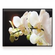 Quadro Decorativo Orquídea Comercial Ramos