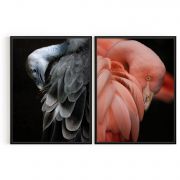 Quadro Decorativo Aves - 2 Telas Comercial Ramos